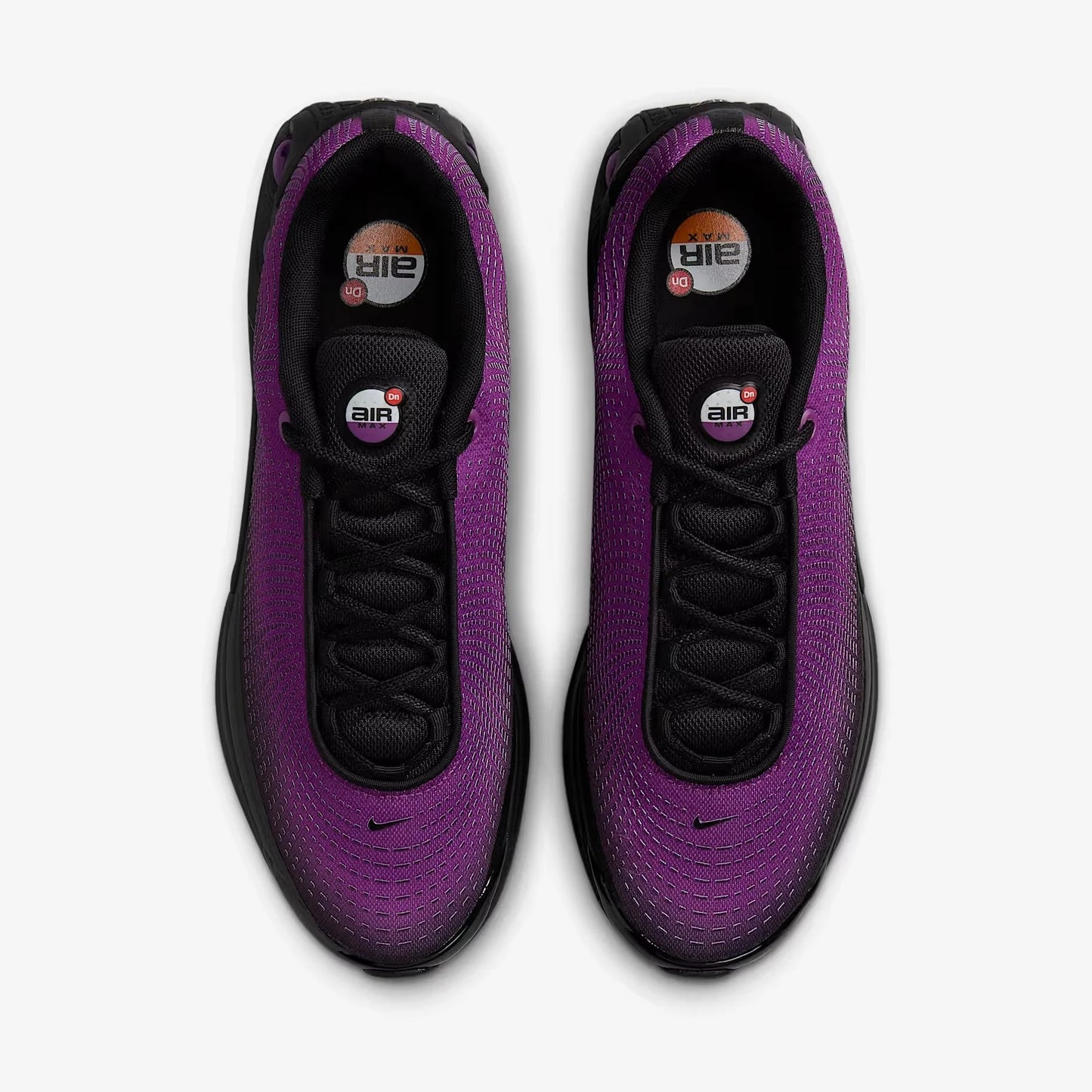 DN Bold Berry