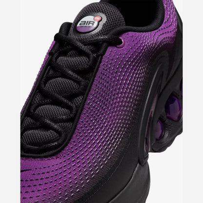 DN Bold Berry