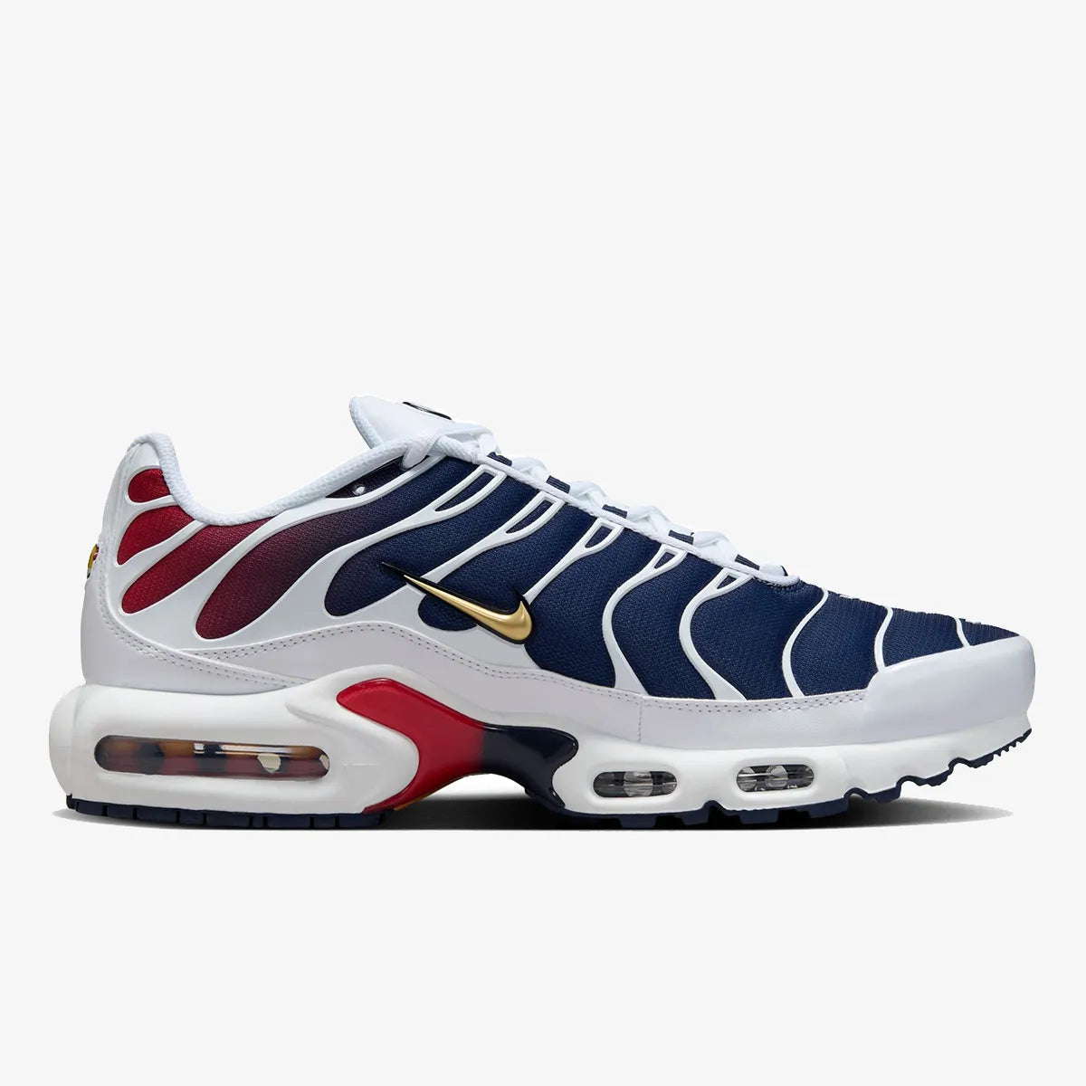 Nike Air Max Plus TN (PSG)