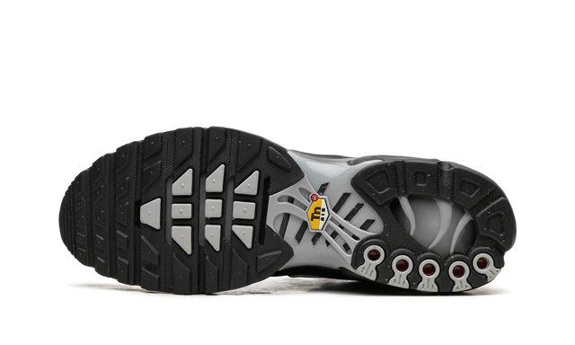 Nike Air Max Plus TN Multi Swoosh