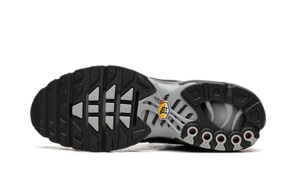 Nike Air Max Plus TN Multi Swoosh